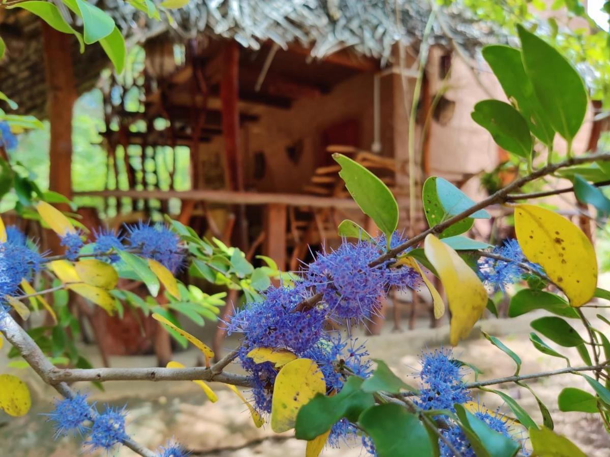 Relax Nature Villa Sigiriya Buitenkant foto