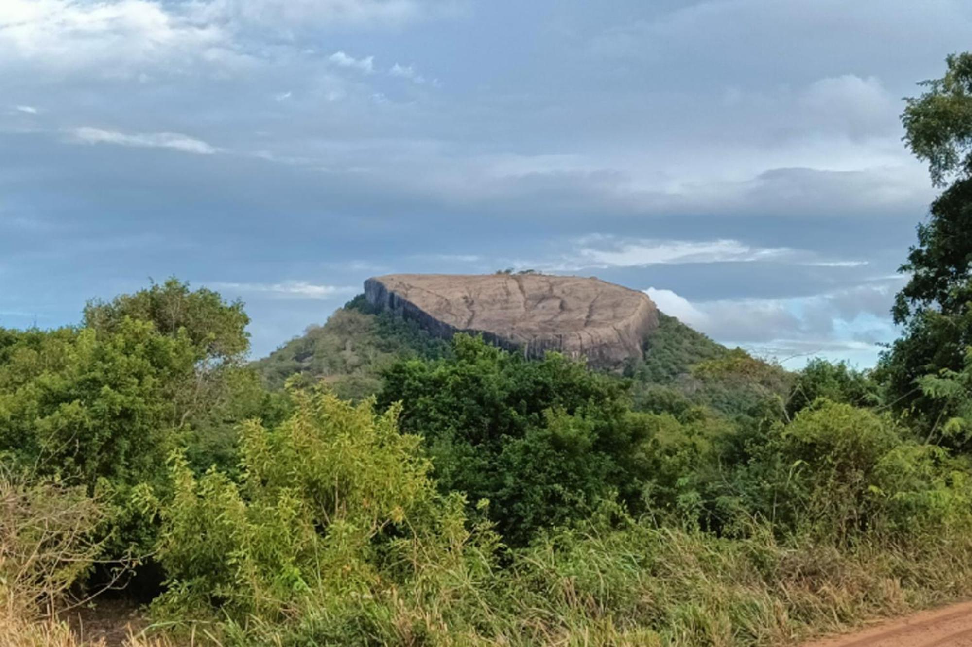 Relax Nature Villa Sigiriya Buitenkant foto